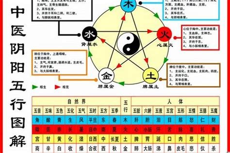 1984五行|【84年次五行】1984年次五行屬什麼？屬鼠命運分析